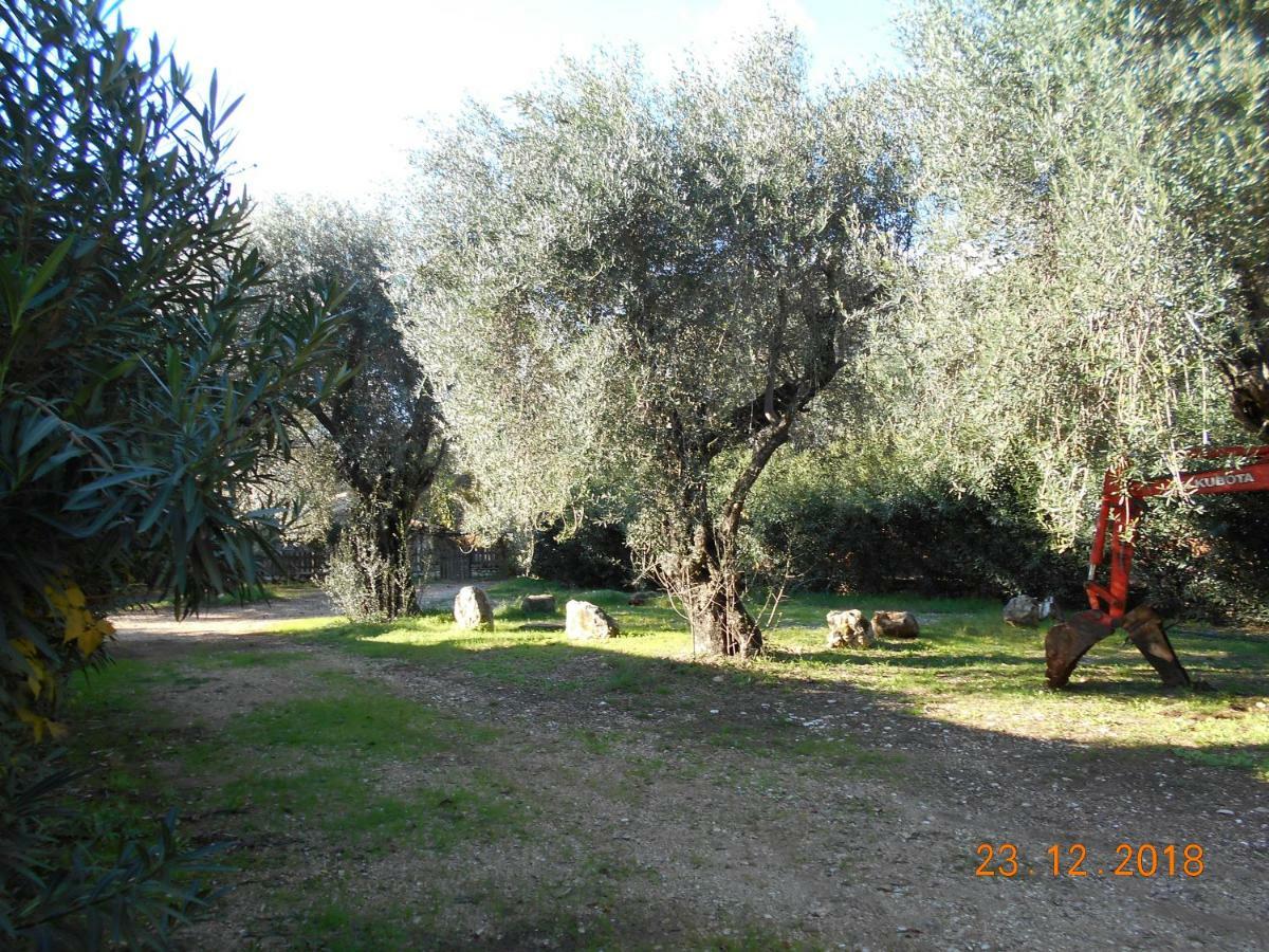 Lukia Mare Holiday home Barbati